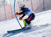 开云体育官网-挪威滑雪选手在赛场上大放异彩