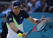 开云下载-法国网球队逆转世界网球队，穆雷关键制胜的简单介绍