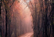 开云体育官方网站-球队在比赛中克服困难，最终夺得胜利