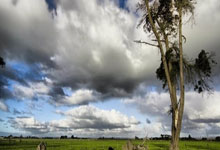 开云体育下载-丹麦羽毛球队惊艳逆转，林丹演绎荣耀时刻：一场让世界震撼的羽毛球盛事