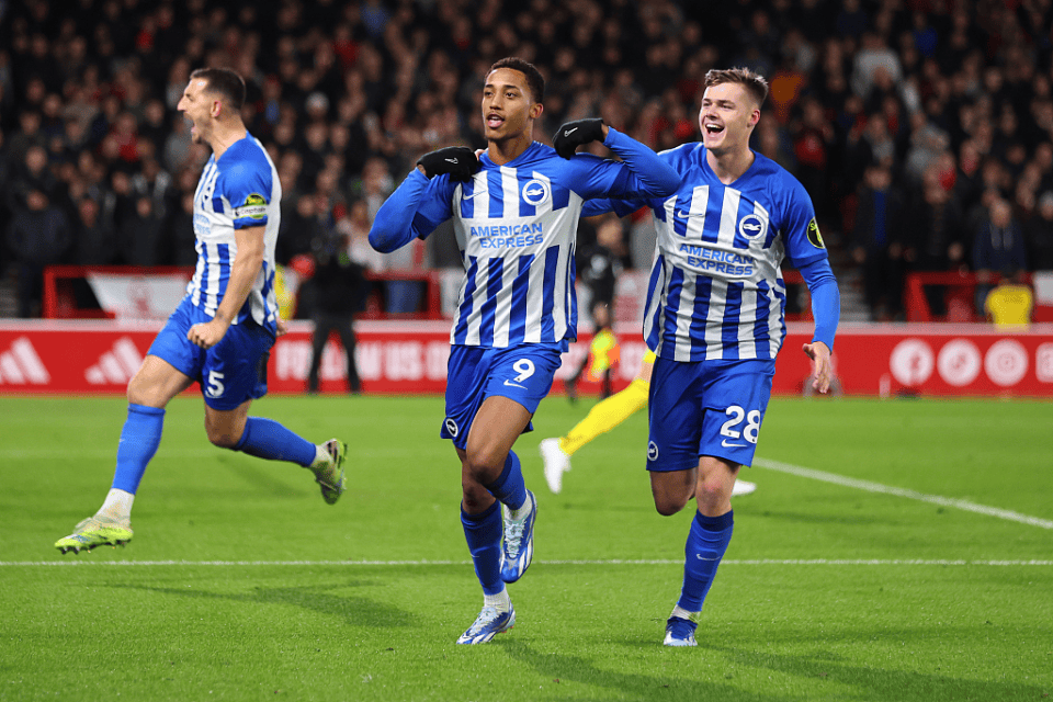 富勒姆客场战胜埃弗顿,走出低迷的简单介绍 富勒姆客场战胜埃弗顿,走出低迷的简单介绍