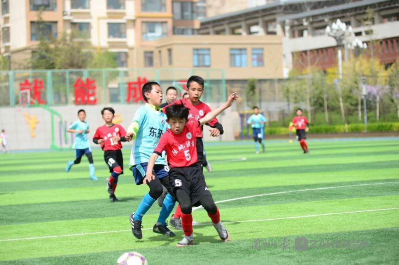 电厂小足球队最终夺冠，目的达成的简单介绍