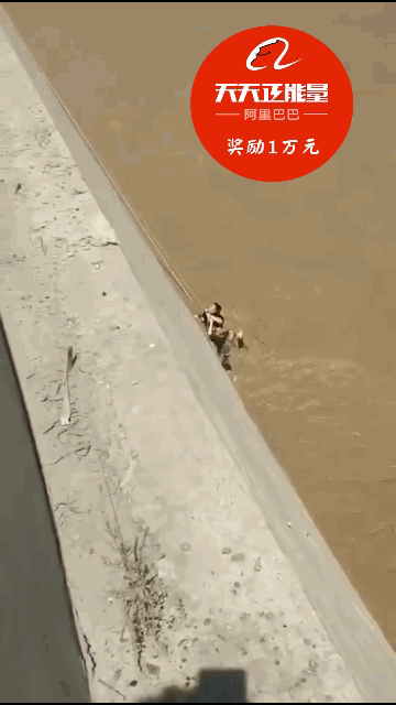 关于惊心动魄战役！赛场上热血激战！的信息