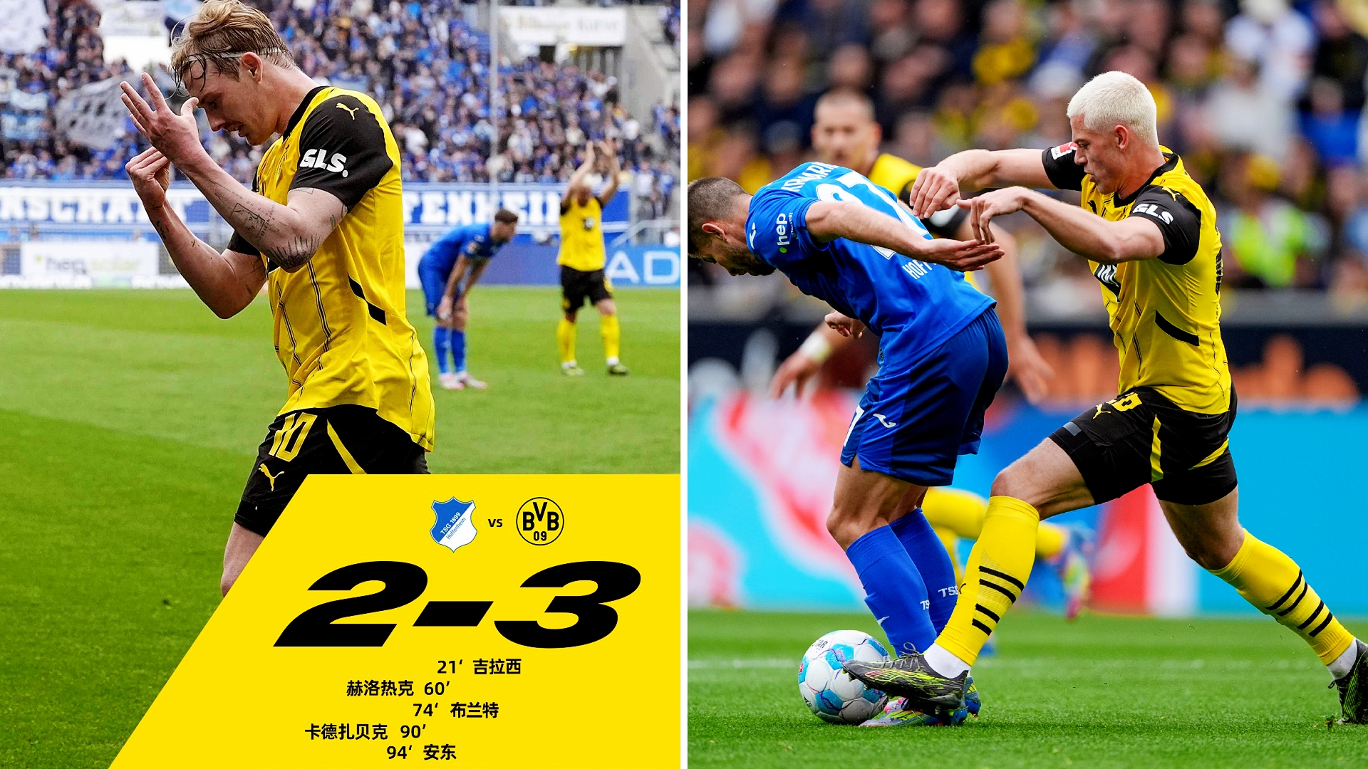 关于霍芬海姆主场击败对手,保持不败纪录的信息 关于霍芬海姆主场击败对手,保持不败纪录的信息